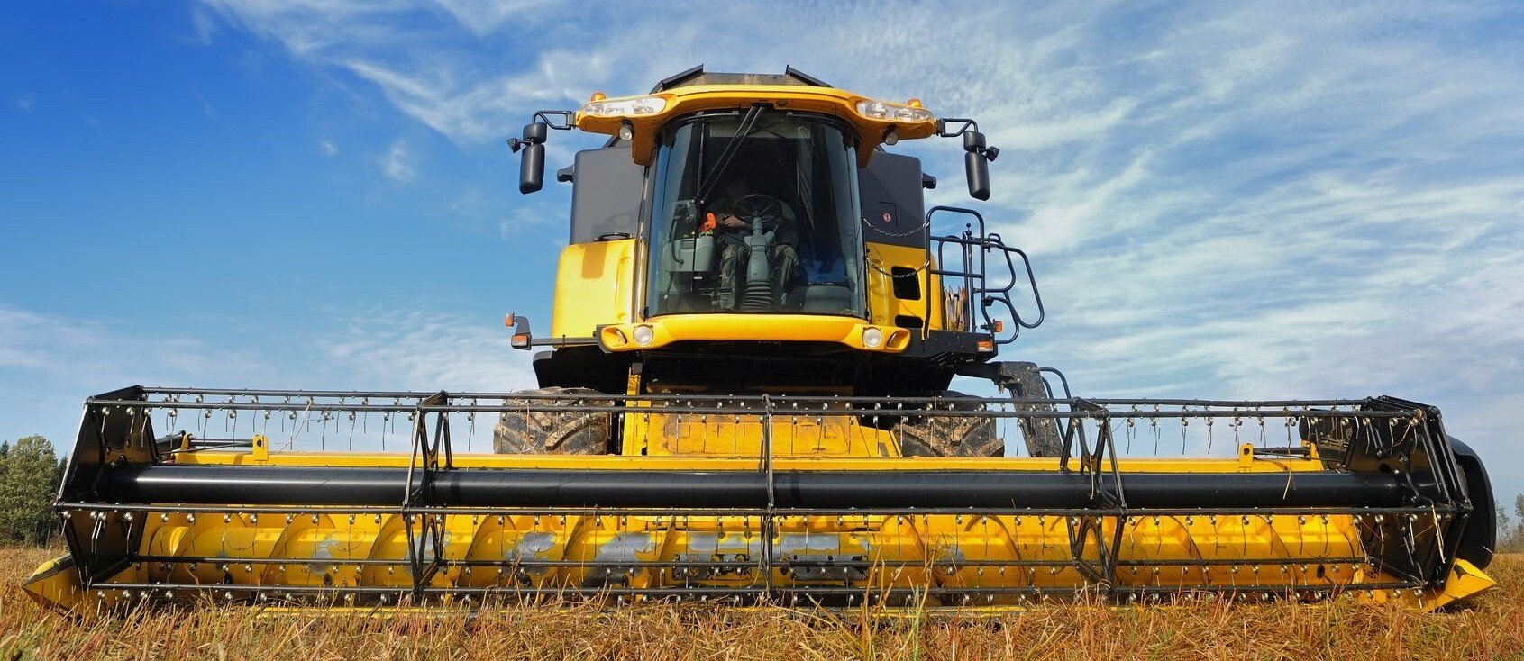 Fotolia_17712347_M_geschnitten