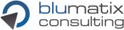 Blumatix Consulting Logo_gross